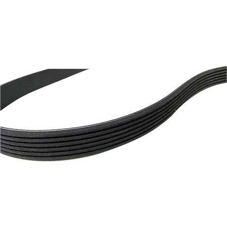 Genuine Holden Drive Belt V8 LS3 / L77